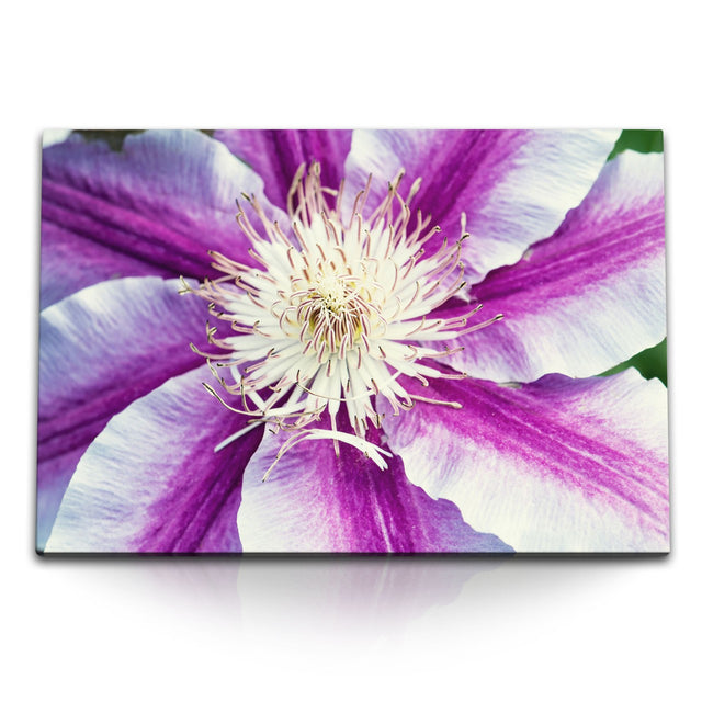 STOCKS_1397DJ6VUtLo71UnY_1280x1280.jpg