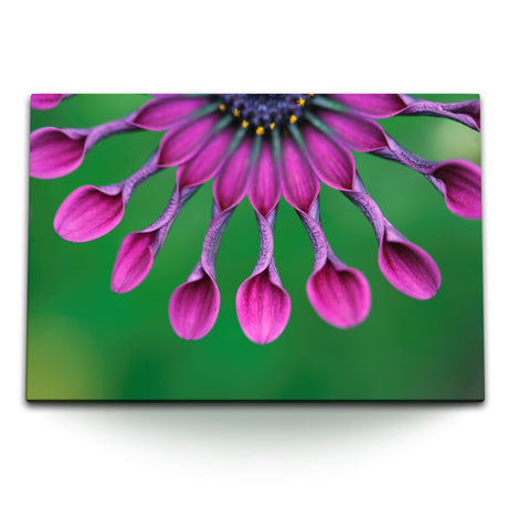 STOCKS_08955Nc596O6bJcdL_1280x1280.jpg
