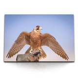 STOCKS_1762fg5s4IHr25bZO_1280x1280.jpg