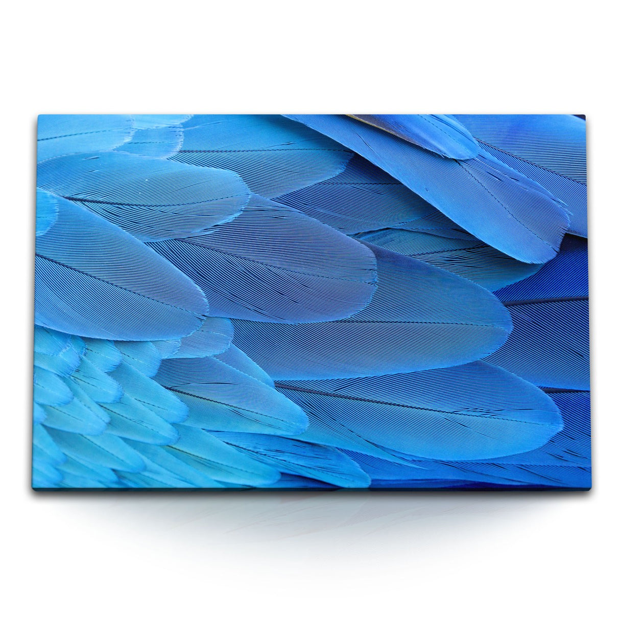 STOCKS_1014BcIRlbDDJWbdL_1280x1280.jpg