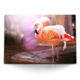 STOCKS_0628uOsU57XRXeI94_1280x1280.jpg