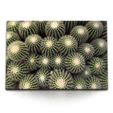 STOCKS_1027wHR0VKJol7kjR_1280x1280.jpg