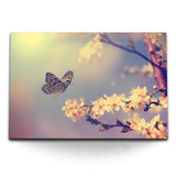 STOCKS_0698AS29dHnKjm9eZ_1280x1280.jpg