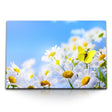 STOCKS_0607gA6Nid70yLinm_1280x1280.jpg