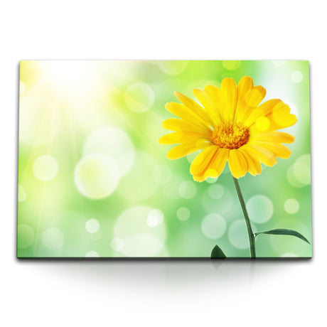 STOCKS_0219fCOMCBz8Ectqa_1280x1280.jpg