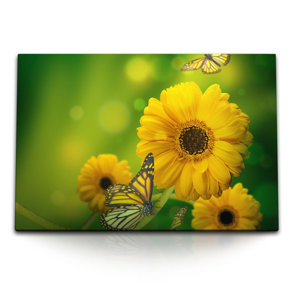 STOCKS_0521Dyrez4VIjMEkr_1280x1280.jpg