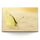 STOCKS_0248386zjOKPWclAU_1280x1280.jpg