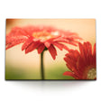STOCKS_2358iLOwzeQ7Jgk56_1280x1280.jpg