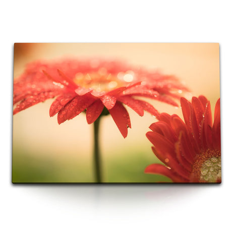 STOCKS_2358iLOwzeQ7Jgk56_1280x1280.jpg