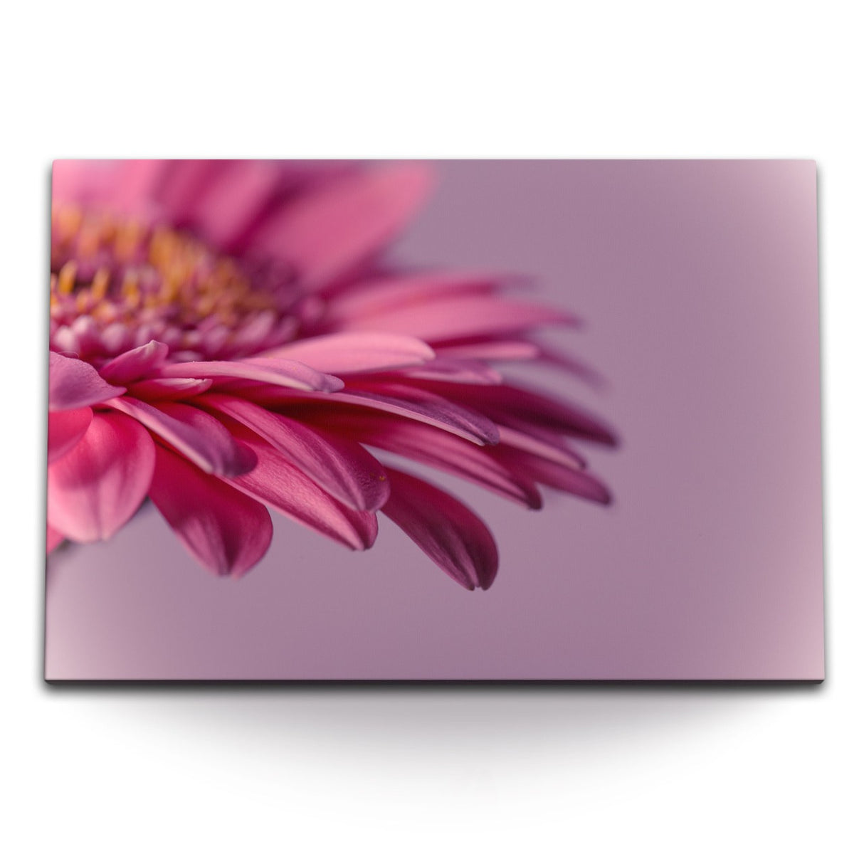 STOCKS_1538zDKToQ6UhtWgb_1280x1280.jpg