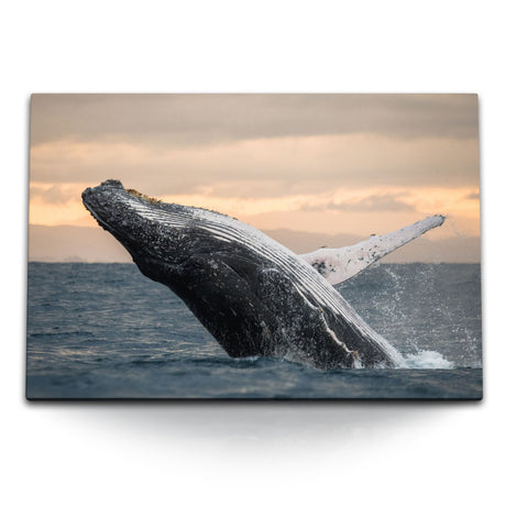 STOCKS_1731X6cY1llaZIAdo_1280x1280.jpg