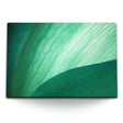 STOCKS_1815udAdW21Oh9Zfz_1280x1280.jpg