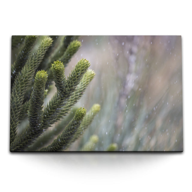 STOCKS_2266HZP5WgZGeLZRB_1280x1280.jpg