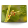 STOCKS_0760VdbUyWQO7WjaC_1280x1280.jpg