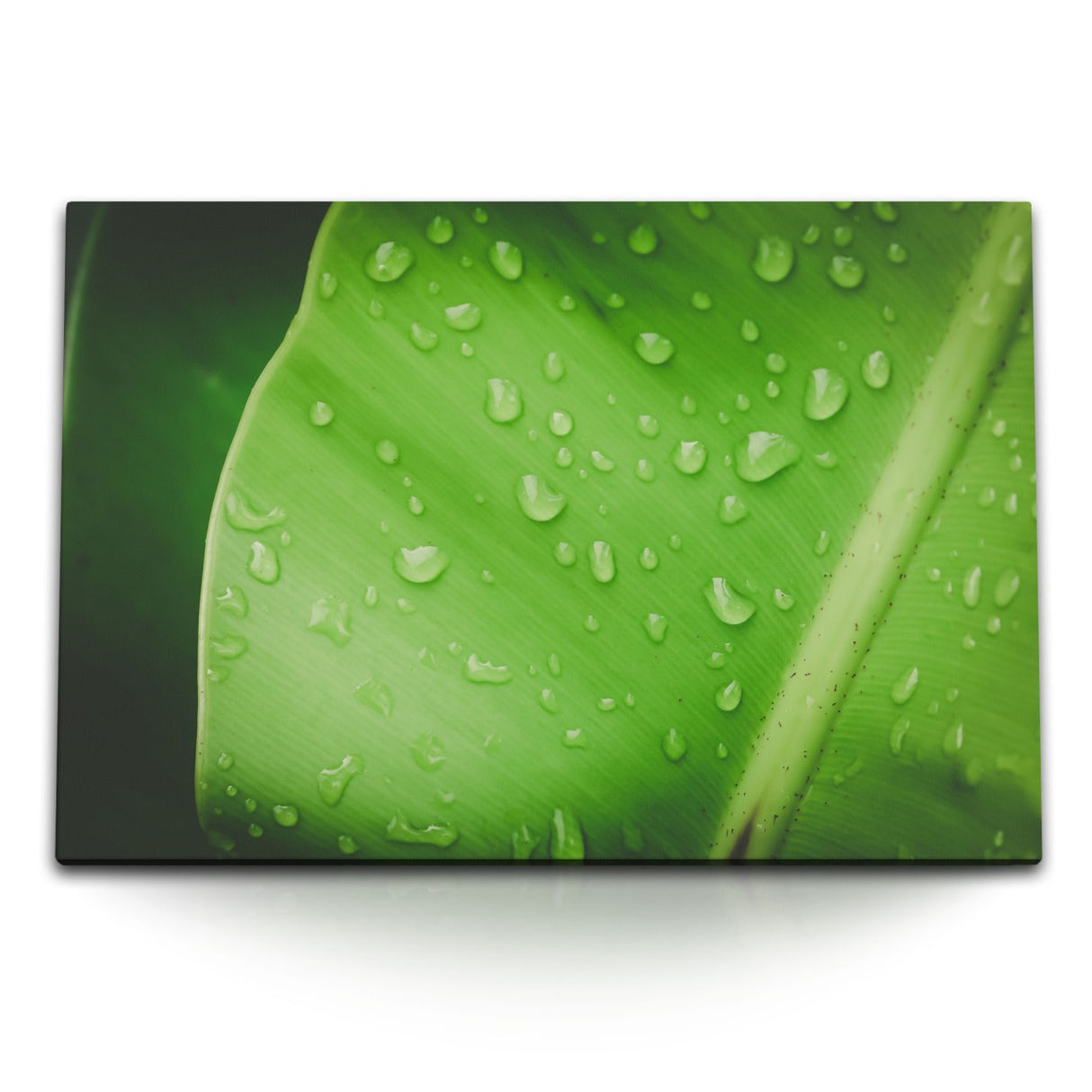 STOCKS_2237Is7udo0kxHAzU_1280x1280.jpg