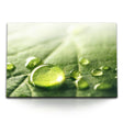 STOCKS_1358uTENgFErU6vBn_1280x1280.jpg