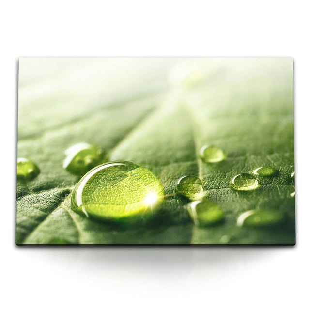 STOCKS_1358uTENgFErU6vBn_1280x1280.jpg