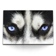 STOCKS_0291uXr8do4q4HwPi_1280x1280.jpg
