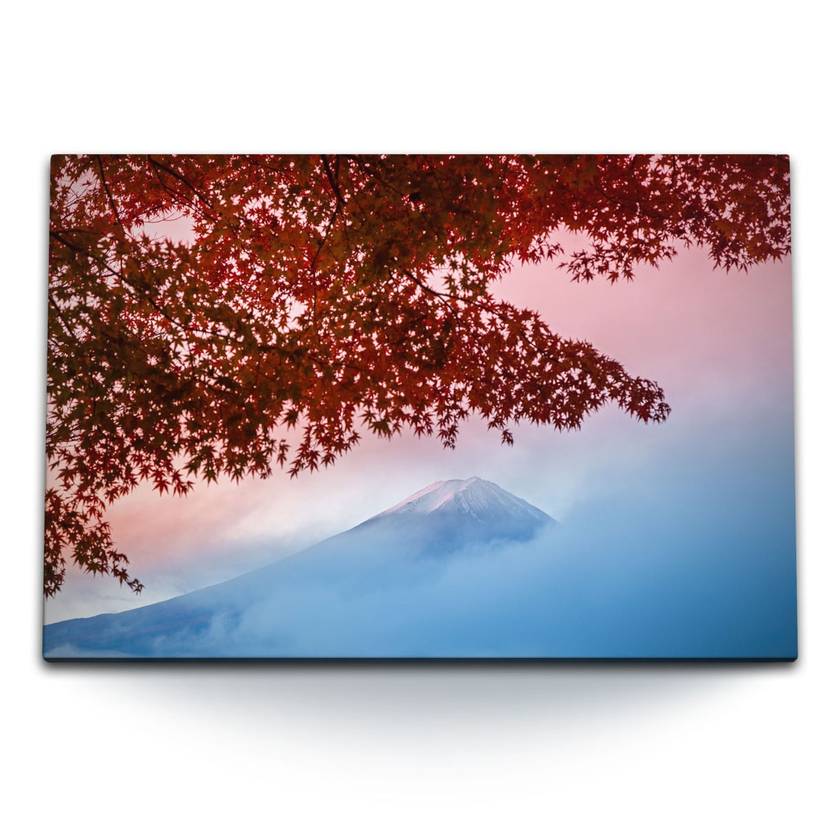 STOCKS_1550wwjUoLrrZve8H_1280x1280.jpg