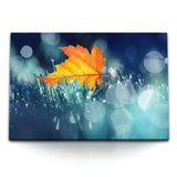 STOCKS_2048CiAzpL4nu9YfN_1280x1280.jpg