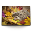 STOCKS_1475BoxSyCZSuIA2q_1280x1280.jpg