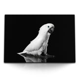 STOCKS_2027gauJbD6LMBF3X_1280x1280.jpg