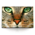 STOCKS_1587k2S37YCTqC1NZ_1280x1280.jpg