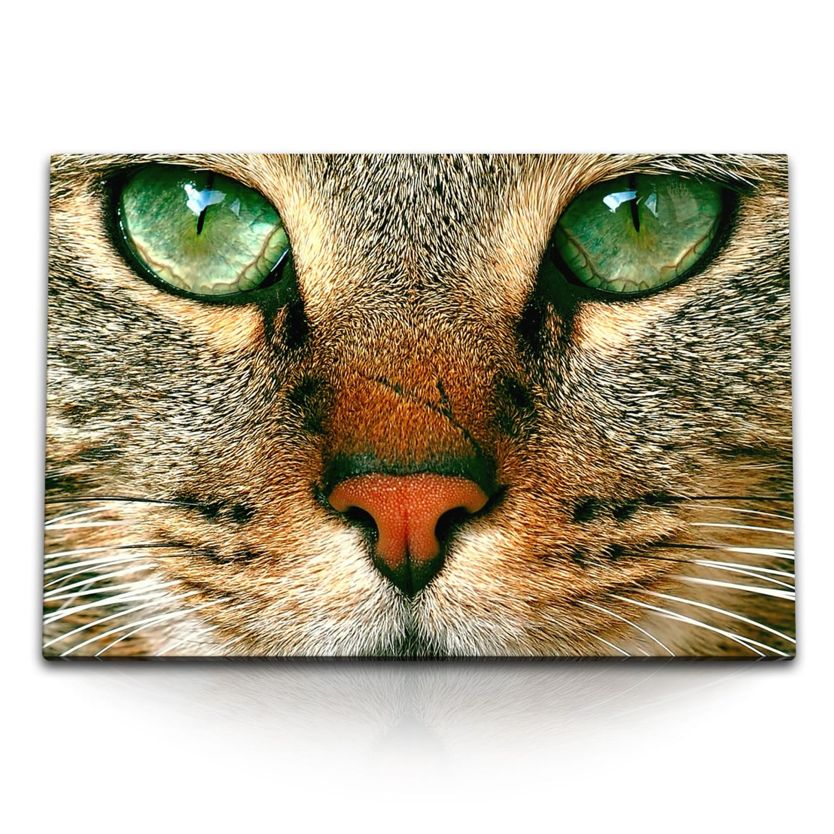 STOCKS_1587k2S37YCTqC1NZ_1280x1280.jpg