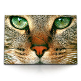 STOCKS_1587k2S37YCTqC1NZ_1280x1280.jpg