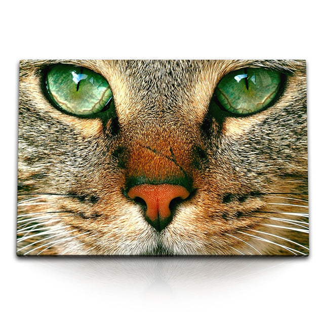 STOCKS_1587k2S37YCTqC1NZ_1280x1280.jpg