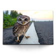 STOCKS_1960PqlptY7Lcq7CU_1280x1280.jpg