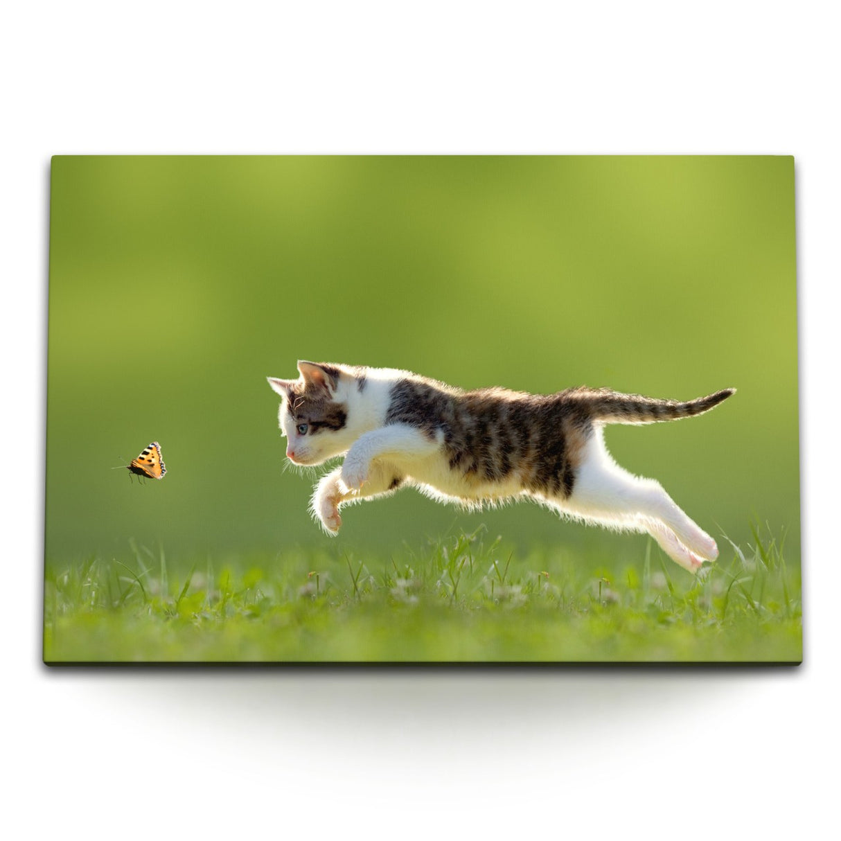 STOCKS_1383Hd3U4oOZfuFWI_1280x1280.jpg
