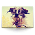 STOCKS_1559PX6jhbUP01pJo_1280x1280.jpg