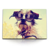 STOCKS_1559PX6jhbUP01pJo_1280x1280.jpg