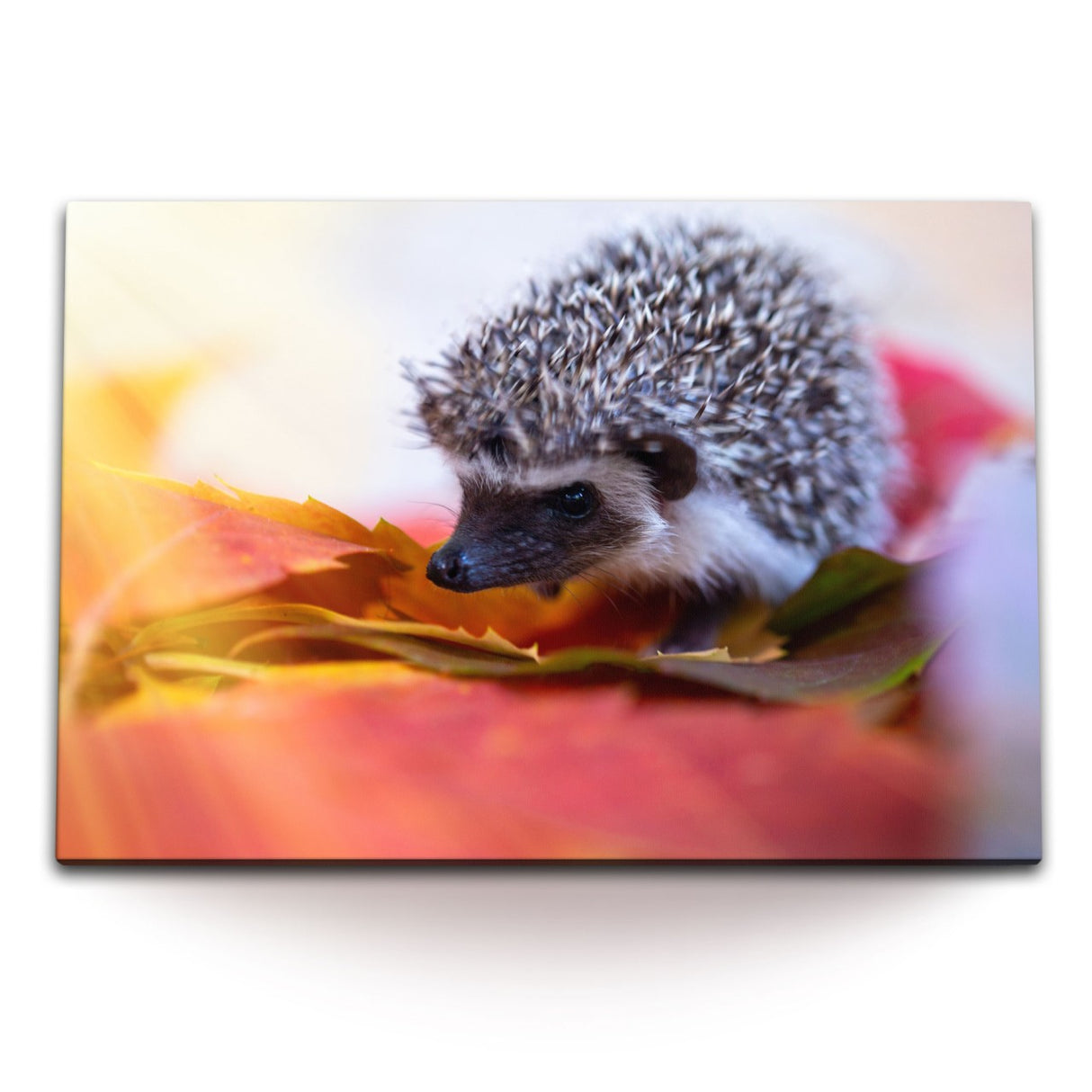 STOCKS_1463Uq9ruKWbrLO8D_1280x1280.jpg