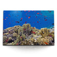 STOCKS_0944DEuIARk5lP2lz_1280x1280.jpg