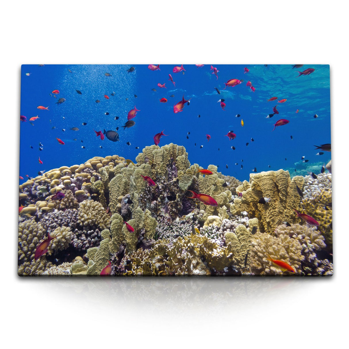 STOCKS_0944DEuIARk5lP2lz_1280x1280.jpg