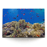 STOCKS_0944DEuIARk5lP2lz_1280x1280.jpg