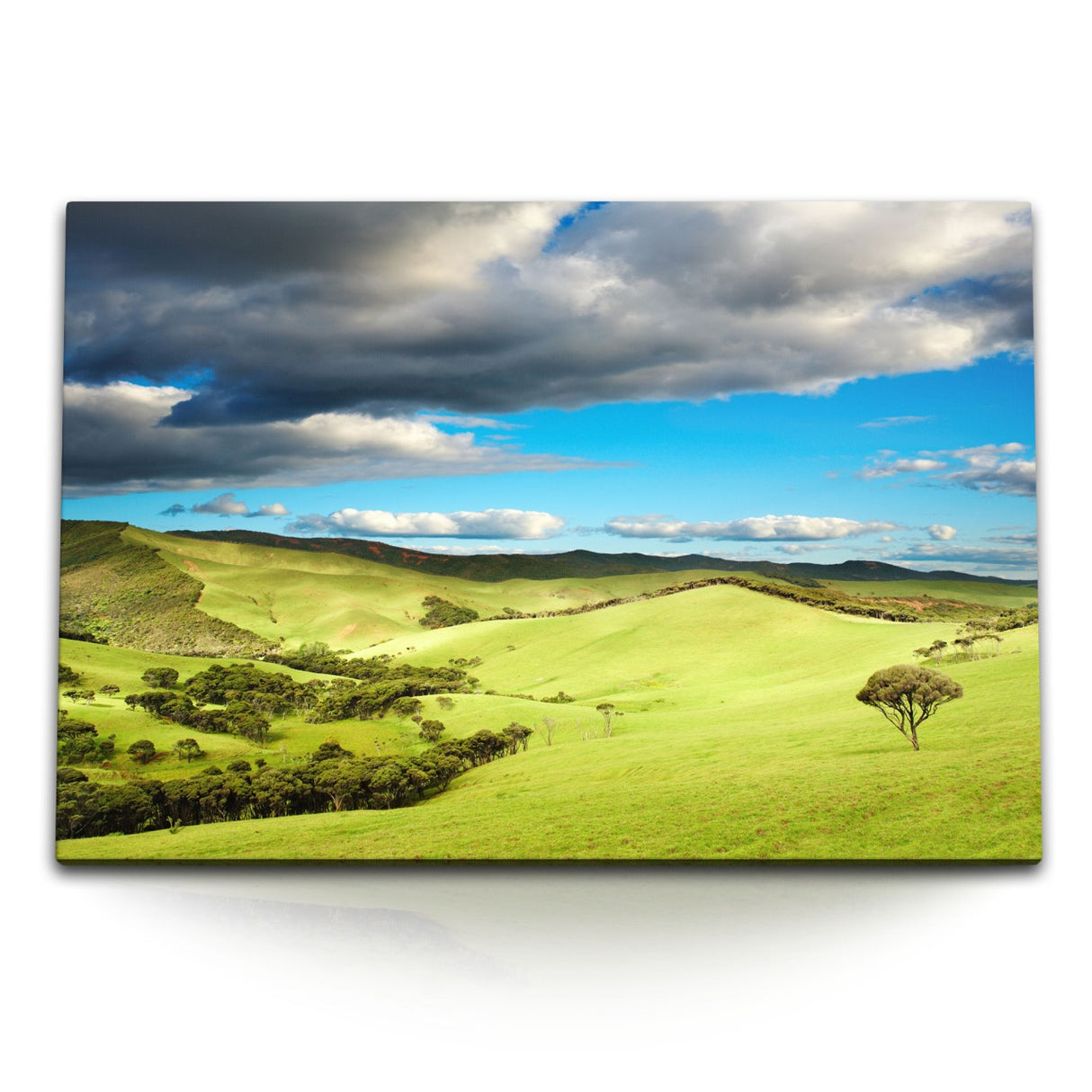 STOCKS_0034slD5HX8d6TRdn_1280x1280.jpg
