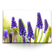 STOCKS_2335DUdJYgr471tbH_1280x1280.jpg
