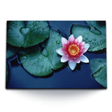 STOCKS_0966TYJfRI2L0n87Y_1280x1280.jpg