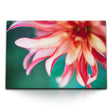 STOCKS_1669fhPtygOI986jt_1280x1280.jpg