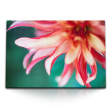 STOCKS_1669fhPtygOI986jt_1280x1280.jpg