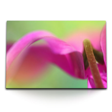 STOCKS_2224HDOr4LiKQq774_1280x1280.jpg