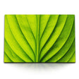 STOCKS_1390sQMptWOgwIwfL_1280x1280.jpg