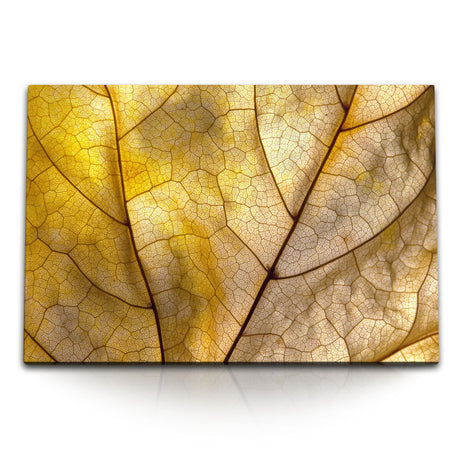 STOCKS_1218EwjPpkJp7DFUU_1280x1280.jpg
