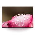 STOCKS_1902ITn3vJbZhrw5T_1280x1280.jpg