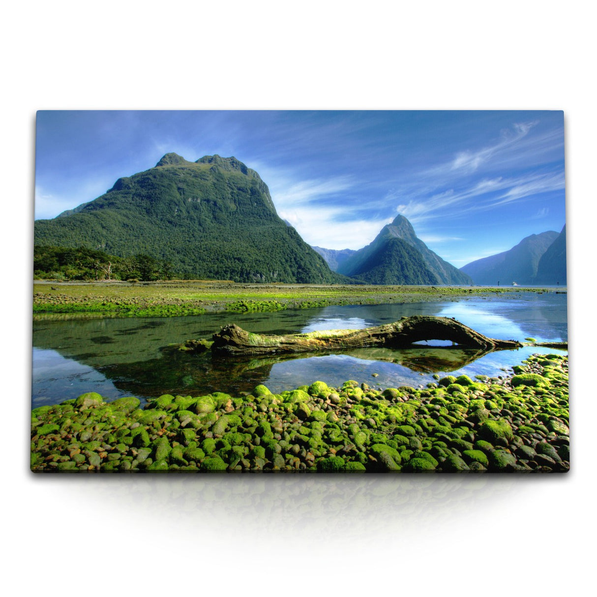 STOCKS_0057ELDFRfLaCvoOh_1280x1280.jpg