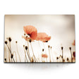 STOCKS_0092iZhcBGu9vahoO_1280x1280.jpg
