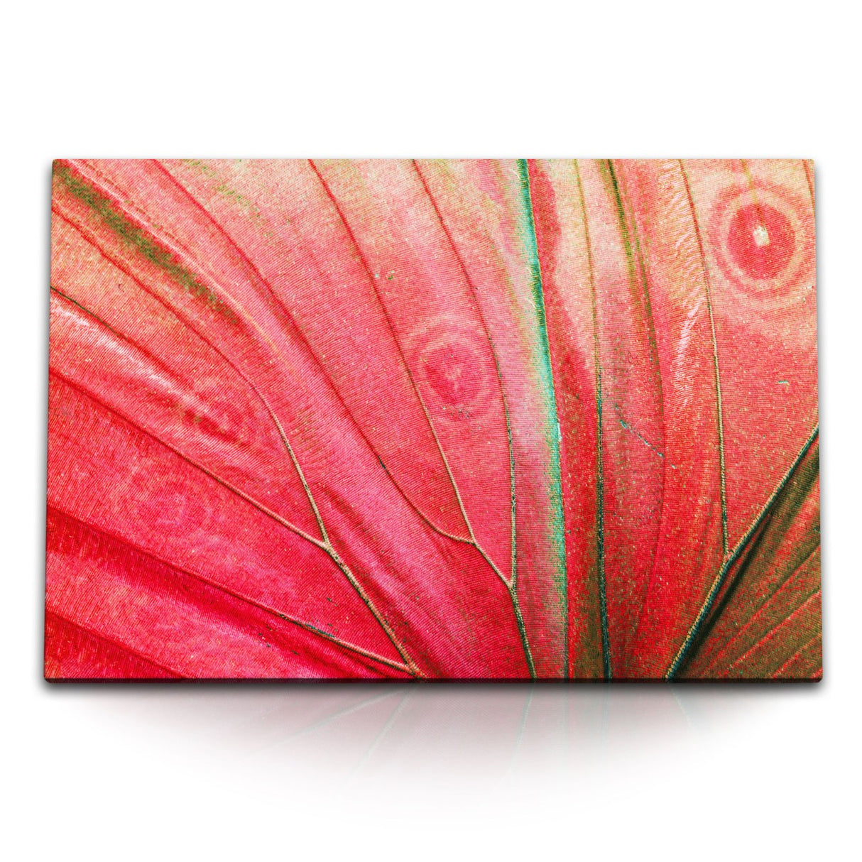 STOCKS_1345uo8XqUXDxW74I_1280x1280.jpg